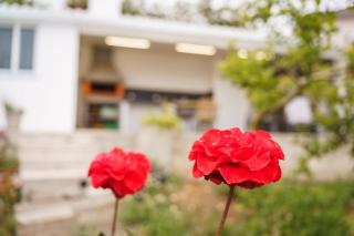 GuestReady - Funchal Hideaway with BBQ - 2