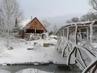 Drevenica pod vŕbami s farmou a zvieratami - Slovenská Ves - 0