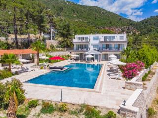 Villa Castle İslamlar - 2