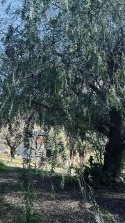 MOZa LUZe - Off Grid Casa Rural - 3