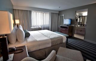 Best Western Chicago Downtown-River North - Chicago - 3