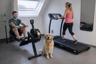 Fitness loft 50 m2 - 7