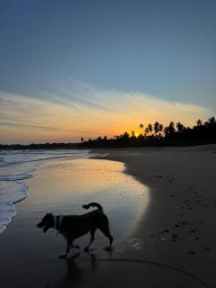 Turtle Island Cabana - 3