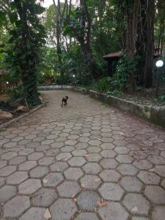 Recanto do Saira - 4