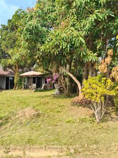 Fong House at Mae Ai - 3