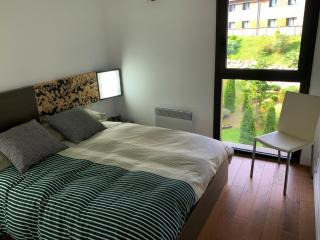 Apartament 5 persones Llar de Foc i Piscina - 3
