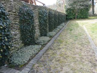 Apartments in Heviz - Balaton 39945 - 2