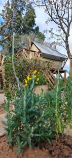 Camping Valencia el Saler - 1