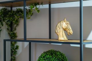 A Place 4U 42, 1 Bedroom & 1 Bathroom, near to Acropolis Athens - Athen - 5