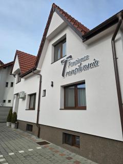 Pensiunea Transilvania - 8