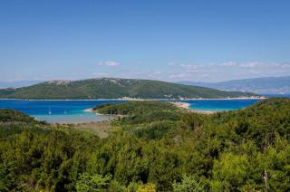 Apartments in Lopar - Insel Rab 26467 - 3