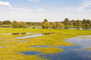 Apartments in Trebbin 26568 - 3