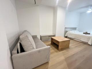 Loft en el Centro De Valencia Botánico 1 - 3