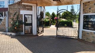 The Capulus Boutique Hotel - 7