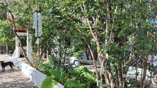 Chalé Studio Miura Pipa - 1