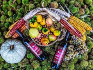 Gugoshvilis Marani - 0