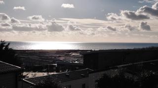 Driftwood at Freshwater Beach Holiday Park - 6