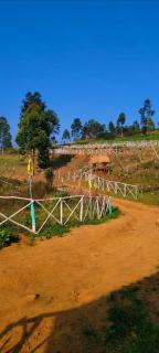 Oak and Sky Adventures - 6