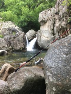 La Cigale Ardéchoise - 1