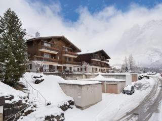 Apartment Chalet Almis-Bödeli-2 by Interhome - 7