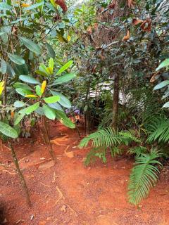 Seven falls camping daraniyagala - 4