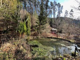 Ferienwohnung im Triberger Schwarzwaldhaus - Haustiere willkommen - 8