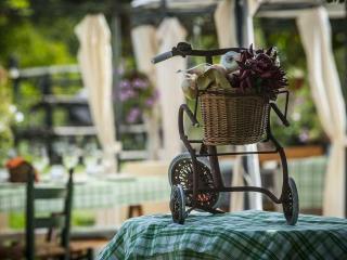 piccolo casale a "le Moline" in una vera fattoria - Vetralla - 6