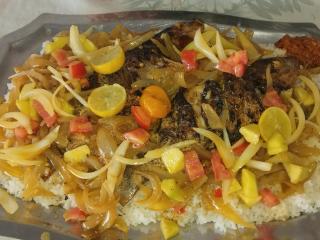 Gite de la savane - 5