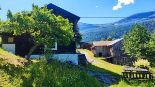 The old farm Lodge Lykkeslet - 8