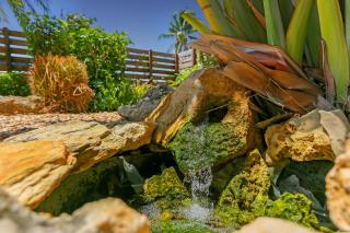 Ventur Escapade - Heated Pool, Private Guest House - 5