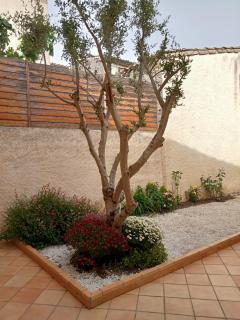 Le Patio - 1