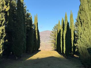 Residenza Castelnovo - 6