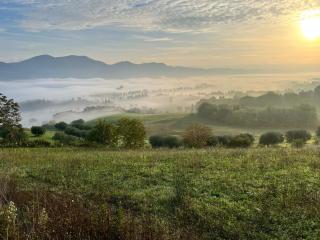 Residenza Castelnovo - 5