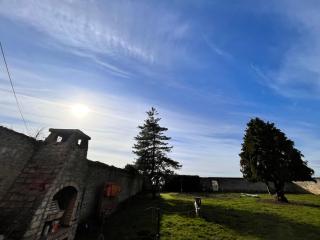 Chambres d'hôtes du Grand Parc - 9