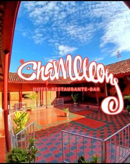 Hotel real camaleón - 2