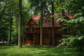 Leśna Przystań apartamenty dwupoziomowe nad jeziorem - 6