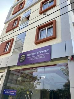 Daffodil Comforts - 9