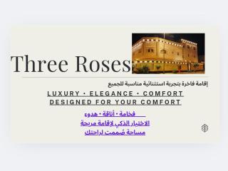 Three Rose - 8