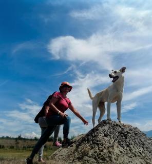 Glamping Claro de Luna - 2