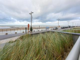 Sun Beach - 0001 + box 82 (Green Garden) - 6