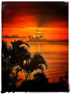 PACIFIC VIEW Homestay - 4