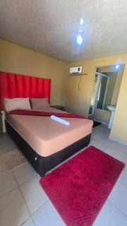 6 Tiger guest house - 5