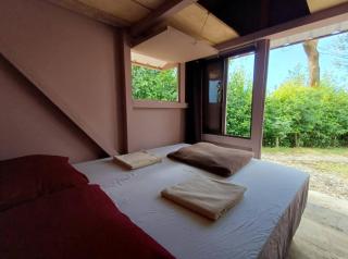 Cabaña rodeada de naturaleza - 7