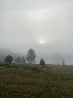 domaine des planesses - 3