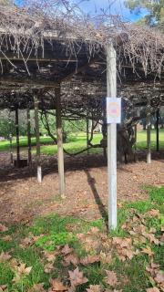 Tudor House - Stay in Chascomús - 2