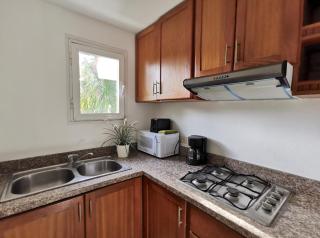 Apartment with private garden - 2