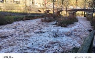 Los Gavilanes BOGARRA - 7