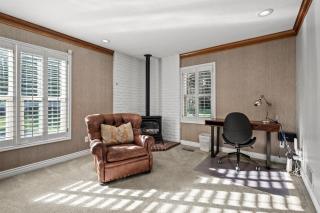 Hobbs Mill Ski Lodge Theater Games Dogs OK - 6