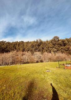 Casa Rural Completa en Urdaibai - 3