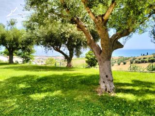 Residenza Armonia - 2